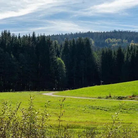 Chalet Flanitzmühle Frauenau
