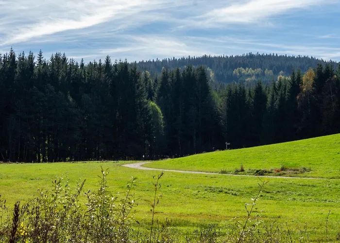 Chalet Flanitzmuehle Frauenau